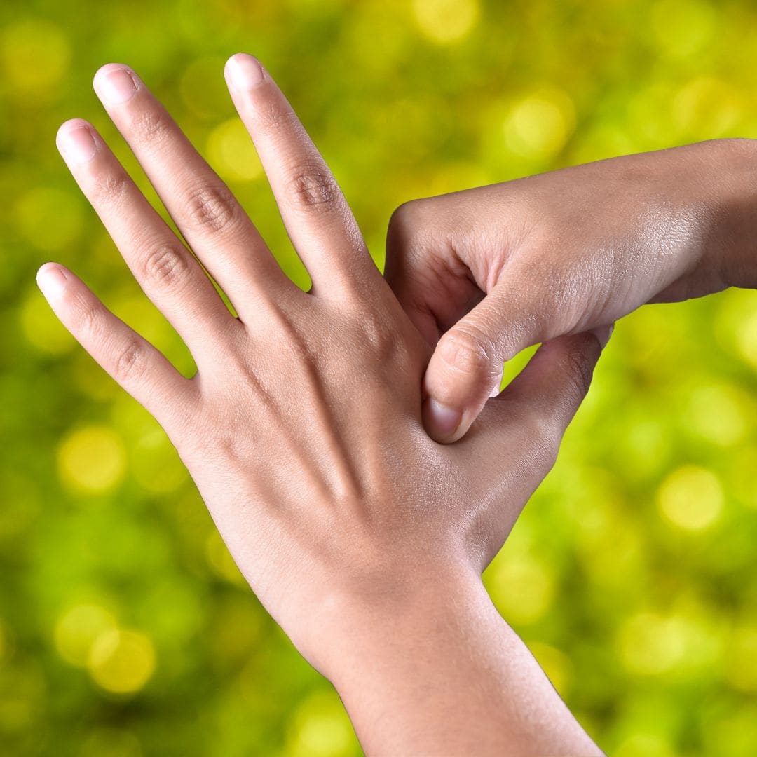 Hygiène de vie et rythme au quotidien selon la MTC